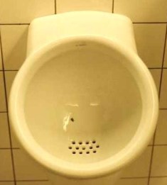 fly in urinal