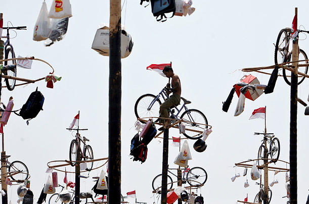 I have no idea what's going on here...