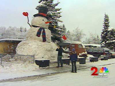 Snowzilla, 2008