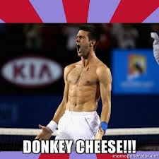 Novak Djokovic meme - donkey cheese