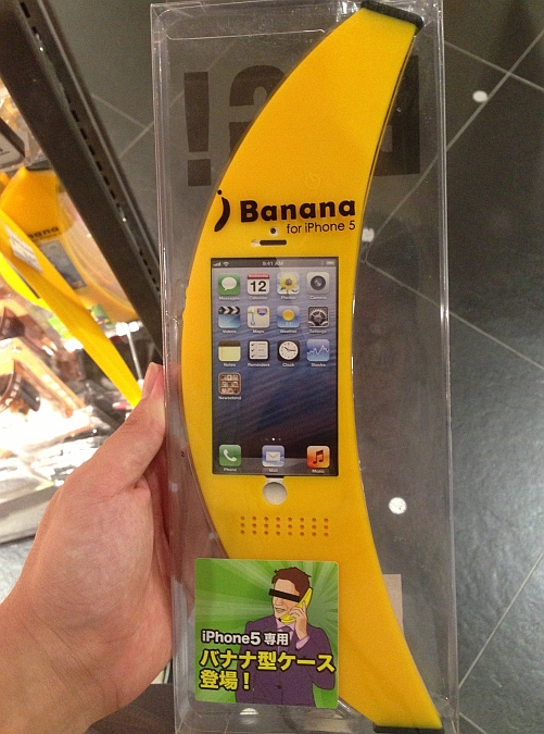 I know there are tons of iAccessories for the iPhone series, but does anyone really buy this crap?  And note how easy it is to take a $600 iPhone 5 and make it look cheap and generic.